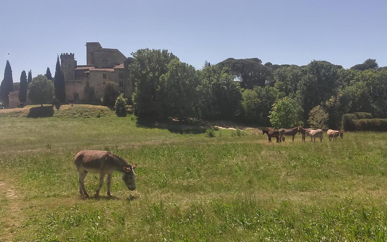 Une Chambre En Luberon Puyvert エクステリア 写真