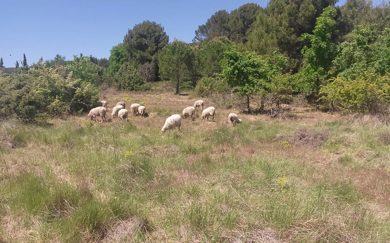 Une Chambre En Luberon Puyvert エクステリア 写真